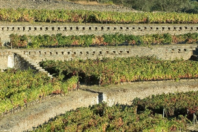 Quinta do Noval, Vale Mendiz © Coleção Museu do Douro/ Egídio Santos